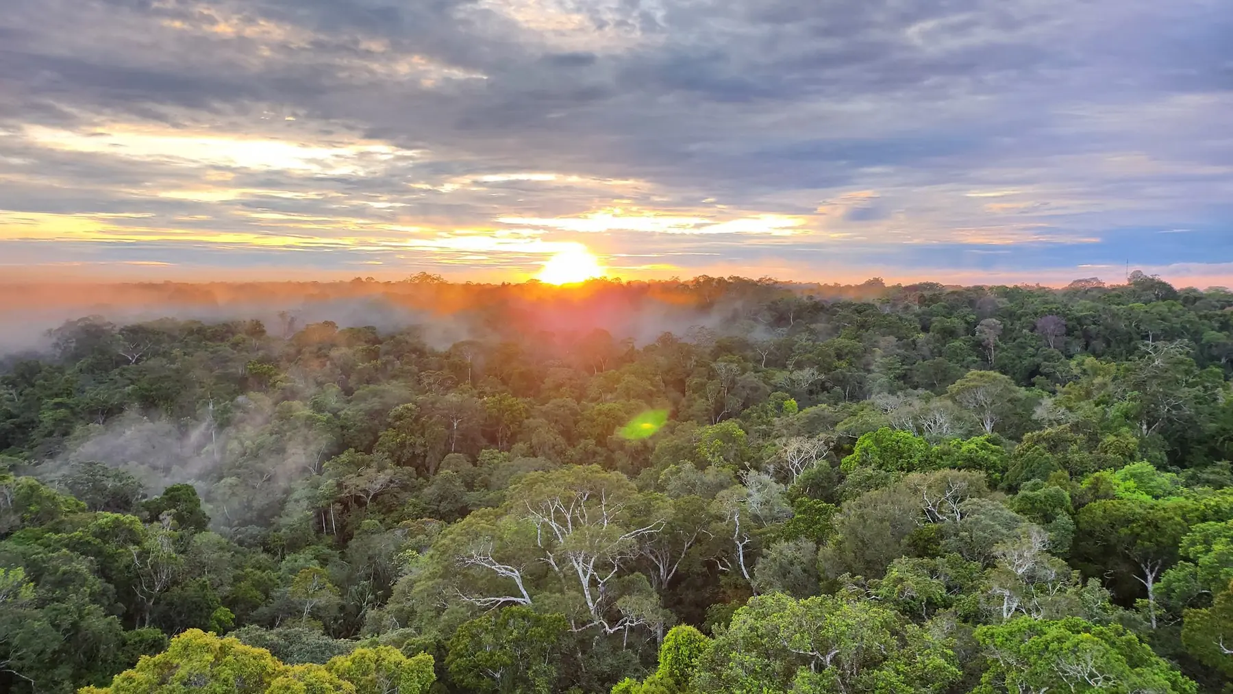 Sunrise over the rainforest canopy on the Amazon Wilderness Survival Expedition